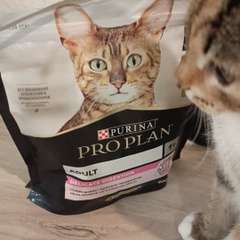 Видео отзыва 10537083