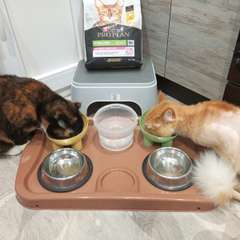 Фото отзыва 10727768