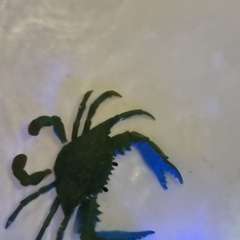 Фото отзыва 9390697