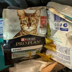 Фото отзыва 10698335