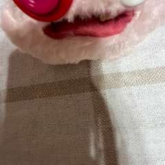 Фото отзыва 10579240