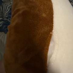 Фото отзыва 10553128