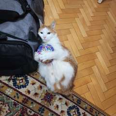 Фото отзыва 10334154