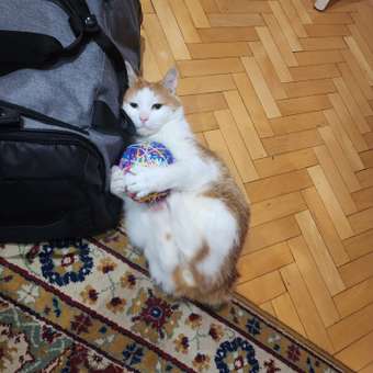 Игрушка для кошек Barbaks Клубок цветастый из разноцветной пряжи 10см: отзыв пользователя. Зоомагазин Зоозавр