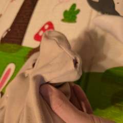 Фото отзыва 10687567