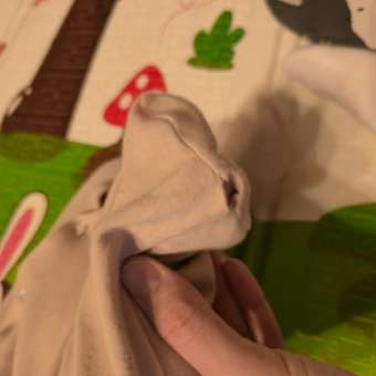 Комбинезон Рыжик: отзыв пользователя Детский Мир