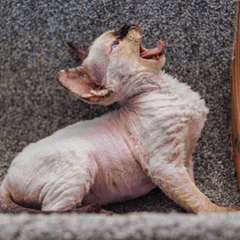 Фото отзыва 10969155