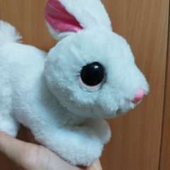 Фото отзыва 10754059