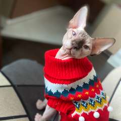 Фото отзыва 10272499