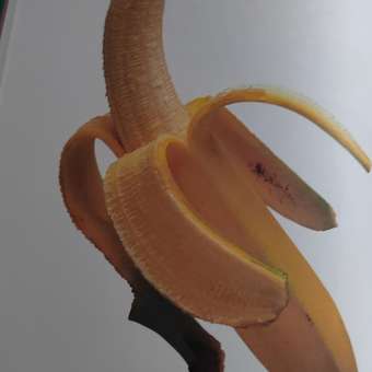 Развивающая Проф-Пресс Главная книга малыша от 0 до 3 лет: отзыв пользователя Детский Мир