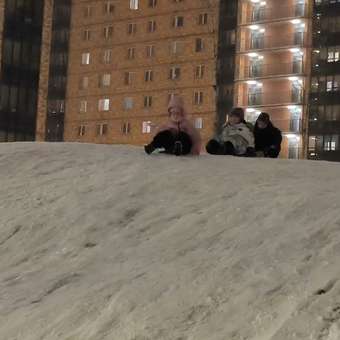 Ледянка NiKA kids 45 см Смешарики: отзыв пользователя Детский Мир