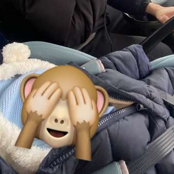 Автокресло Babyton Betti 0+ iceberg green 0 (0 -13 кг) серый: отзыв пользователя Детский Мир