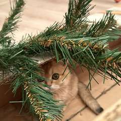 Фото отзыва 10834908