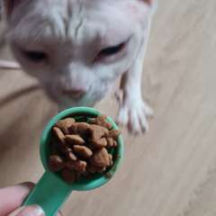 Фото отзыва 10458232