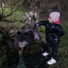 Фото отзыва 8000888