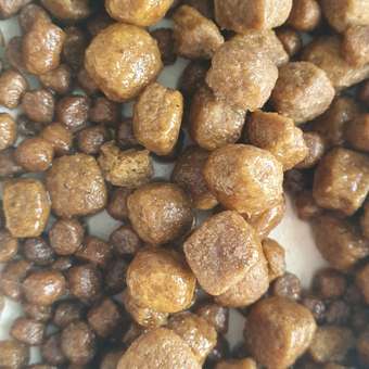 Корм для котят Royal Canin 400г Maine Coon породы мейн-кун: отзыв пользователя. Зоомагазин Зоозавр