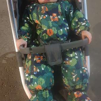Коляска прогулочная Babyton Active Red: отзыв пользователя Детский Мир