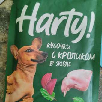 Корм для собак Harty 85г для чувствительного пищеварения кусочки с кроликом в желе: отзыв пользователя. Зоомагазин Зоозавр