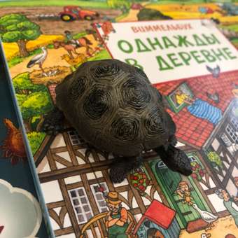 Игровой набор Детское Время Черепаха: отзыв пользователя Детский Мир