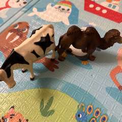 Фото отзыва 10567239