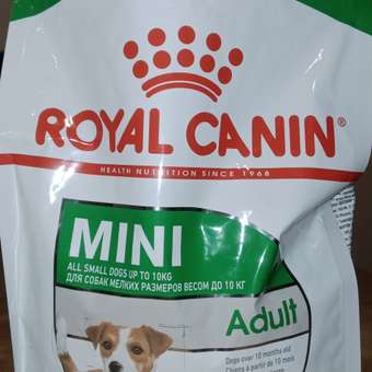 Корм для собак ROYAL CANIN мелких пород 800г: отзыв пользователя. Зоомагазин Зоозавр