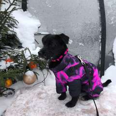 Фото отзыва 10935397