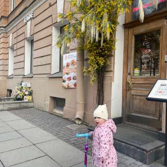Самокат Kreiss трехколесный: отзыв пользователя ДетМир