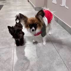 Фото отзыва 10692318