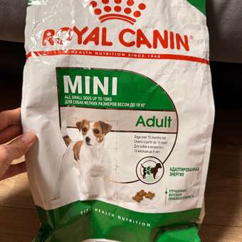 Корм для собак ROYAL CANIN мелких пород 4кг: отзыв пользователя. Зоомагазин Зоозавр