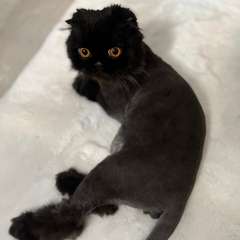 Фото отзыва 10517704