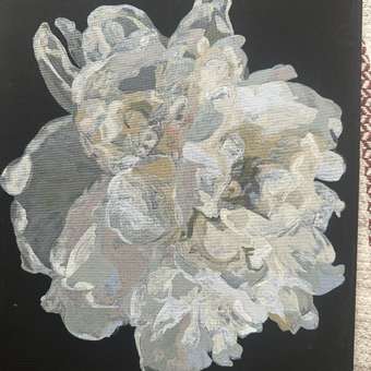 Картина по номерам ТРИ СОВЫ Белый цветок: отзыв пользователя Детский Мир