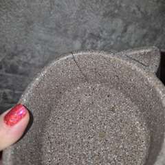 Фото отзыва 10827901