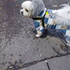 Фото отзыва 10754623