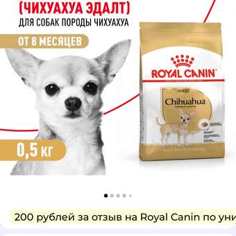 Корм для собак ROYAL CANIN породы чихуахуа 500г: отзыв пользователя. Зоомагазин Зоозавр