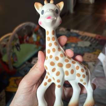 Прорезыватель Sophie la girafe Жирафик Софи: отзыв пользователя Детский Мир