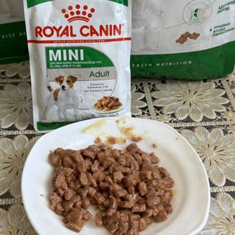 Корм для собак ROYAL CANIN мелких пород 800г: отзыв пользователя. Зоомагазин Зоозавр