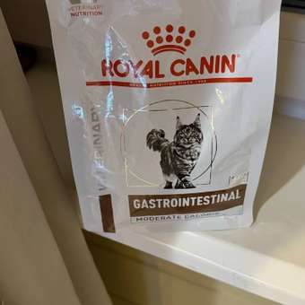 Корм для кошек ROYAL CANIN Gastrointestinal Hairball для профилактики образования волосяных комочков 350г: отзыв пользователя. Зоомагазин Зоозавр