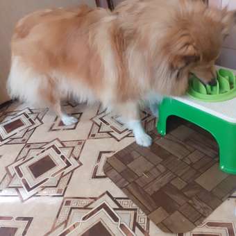 Корм для собак GRANDORF Dog White Fish Mini белая рыба для собак мини пород 3кг: отзыв пользователя. Зоомагазин Зоозавр
