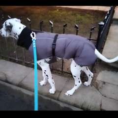 Фото отзыва 10505161