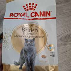 Фото отзыва 11009546