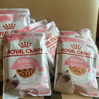 Корм для кошек Royal Canin 85г*10шт Kitten: отзыв пользователя. Зоомагазин Зоозавр