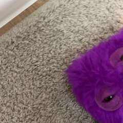 Видео отзыва 10835112