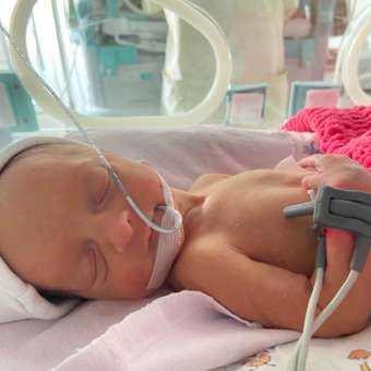 Молочко детское сухое Нутрилак (Nutrilak) 3 Premium на козьем молоке 600г: отзыв пользователя Детский Мир