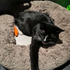 Фото отзыва 11279595