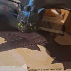 Фото отзыва 11215278