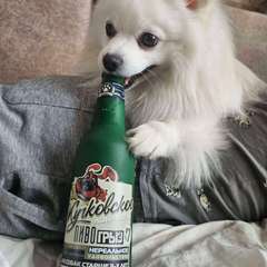 Фото отзыва 11080274