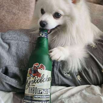 Игрушка для собак Triol Бутылка Жучковское 240мм: отзыв пользователя. Зоомагазин Зоозавр