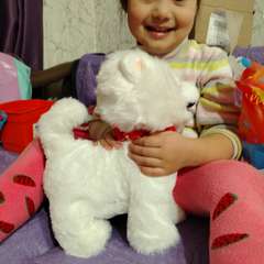 Фото отзыва 10540802