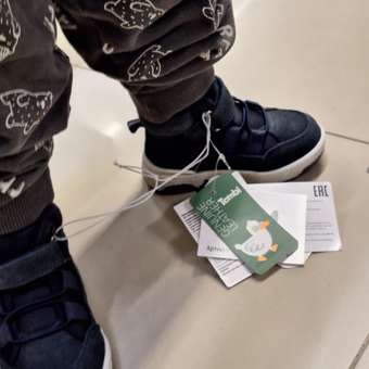 Кеды Tombi: отзыв пользователя Детский Мир