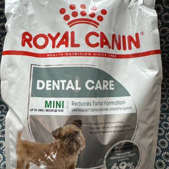 Корм для собак ROYAL CANIN Mini Dental мелких пород предрасположенных к образованию зубного камня 3кг: отзыв пользователя. Зоомагазин Зоозавр